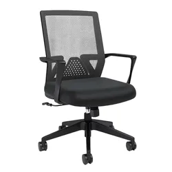 Black ergonomic office chair with a mesh back, cushioned seat, and adjustable armrests on a five-star base with casters.