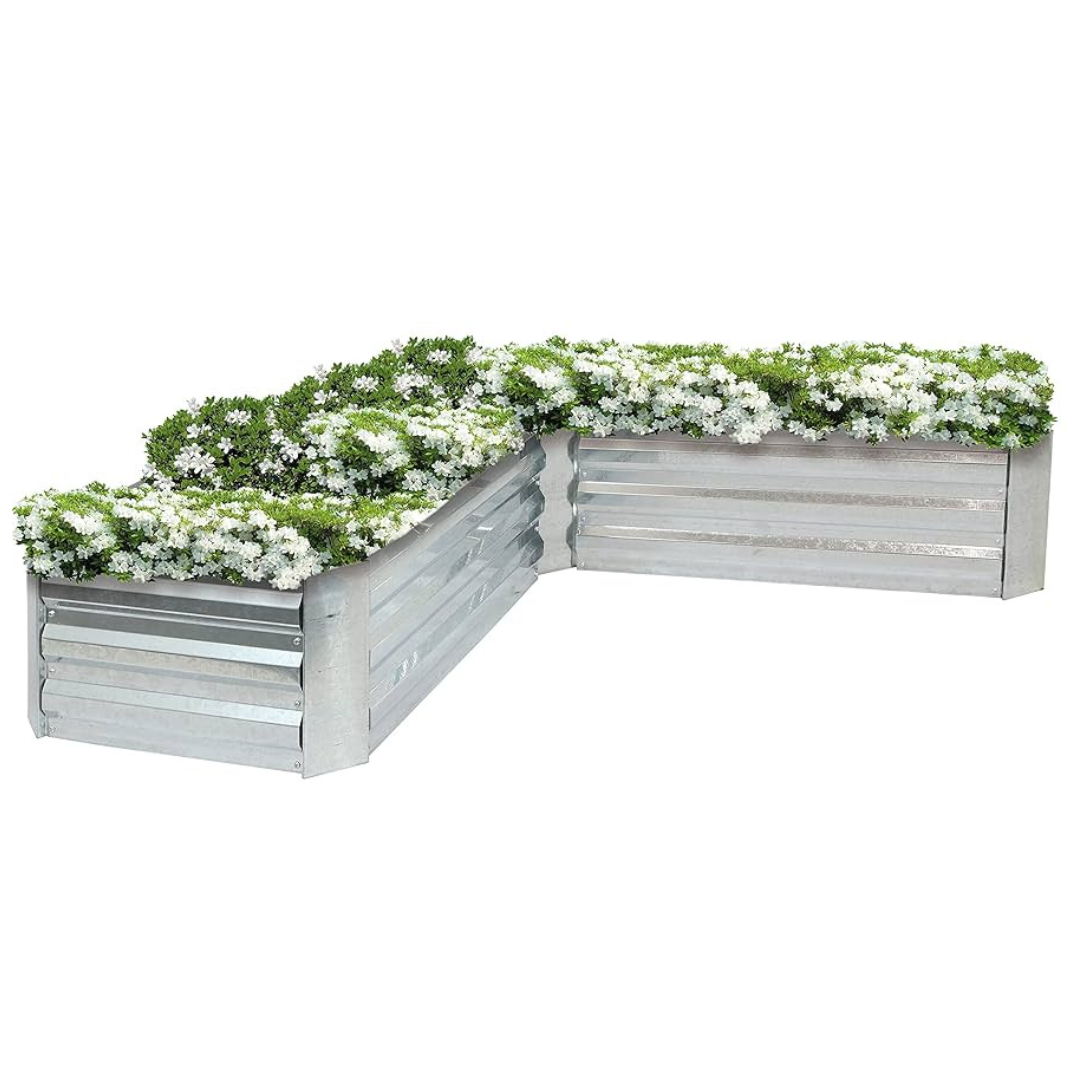 A metal L-shaped raised garden bed filled with white flowers.