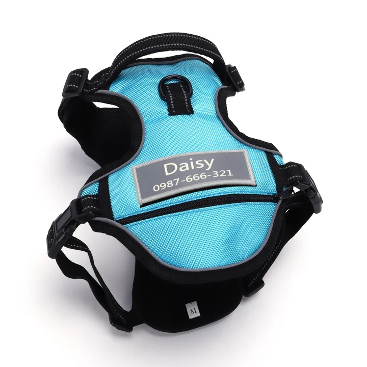 Blue dog harness with adjustable straps and a label displaying the name \“Daisy\“ and a phone number. Features a handle and metal ring for leash attachment. Size: Medium.