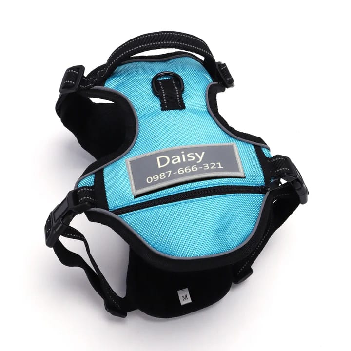 Blue dog harness with adjustable straps and a label displaying the name \“Daisy\“ and a phone number. Features a handle and metal ring for leash attachment. Size: Medium.