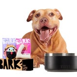 A happy dog with its tongue out sits behind a Bark box containing a plush turkey toy and two treat bags labeled \“Bark\“. Next to the box is a YETI dog bowl.