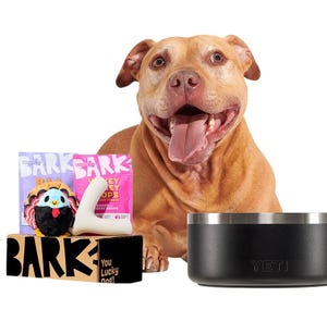 A happy dog with its tongue out sits behind a Bark box containing a plush turkey toy and two treat bags labeled \“Bark\“. Next to the box is a YETI dog bowl.