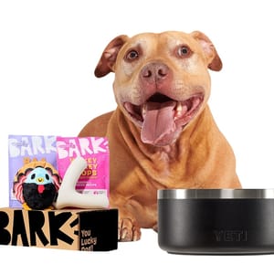 A happy dog with its tongue out sits behind a Bark box containing a plush turkey toy and two treat bags labeled \“Bark\“. Next to the box is a YETI dog bowl.