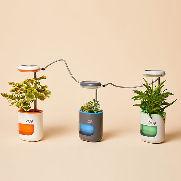 Three small indoor planters with built-in grow lights, connected by a flexible arm, housing various plants.