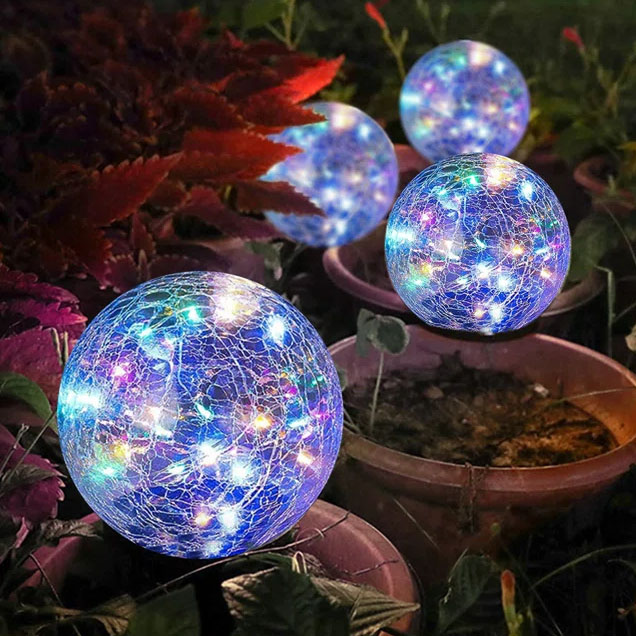 Four crackled glass solar LED globes with colorful lights are placed among garden plants.