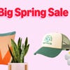 The text "Big Spring Sale" with a colorful cushion, a potted plant, a white and green cap, and yellow sneakers.