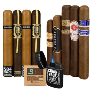A sampler of ten cigars in various shades and sizes, accompanied by a humidifier pack and a lighter with a blue flame.