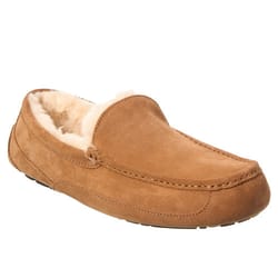 UGG Ascot Slippers are tan suede slippers with a cozy shearling lining, featuring a moccasin-style design and a rubber sole for indoor and outdoor wear.