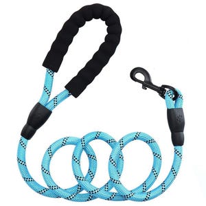 Blue rope dog leash with a black padded handle and a metal swivel hook.