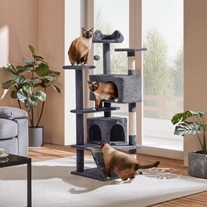 A multi-level gray cat tree with three Siamese cats perched on it, set in a sunny room with a large window and plants nearby.