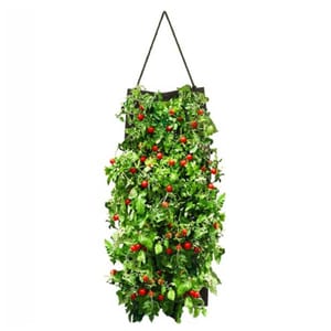 Hanging tomato planter with lush green foliage and clusters of bright red cherry tomatoes growing downward. Ideal for vertical gardening or small spaces.