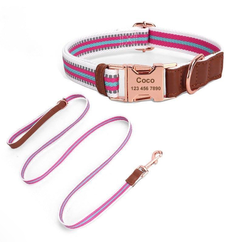 A pink and turquoise striped pet collar with a brown faux leather patch and a matching pink leash; both have metal hardware, and the collar includes a customizable name tag.