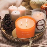 A tray with lit candles including a Colonial Candle \“Gilded Pumpkin\“ and a Heritage \“Tibetan Sandalwood.\“ Pinecones and small pumpkins add a seasonal touch.
