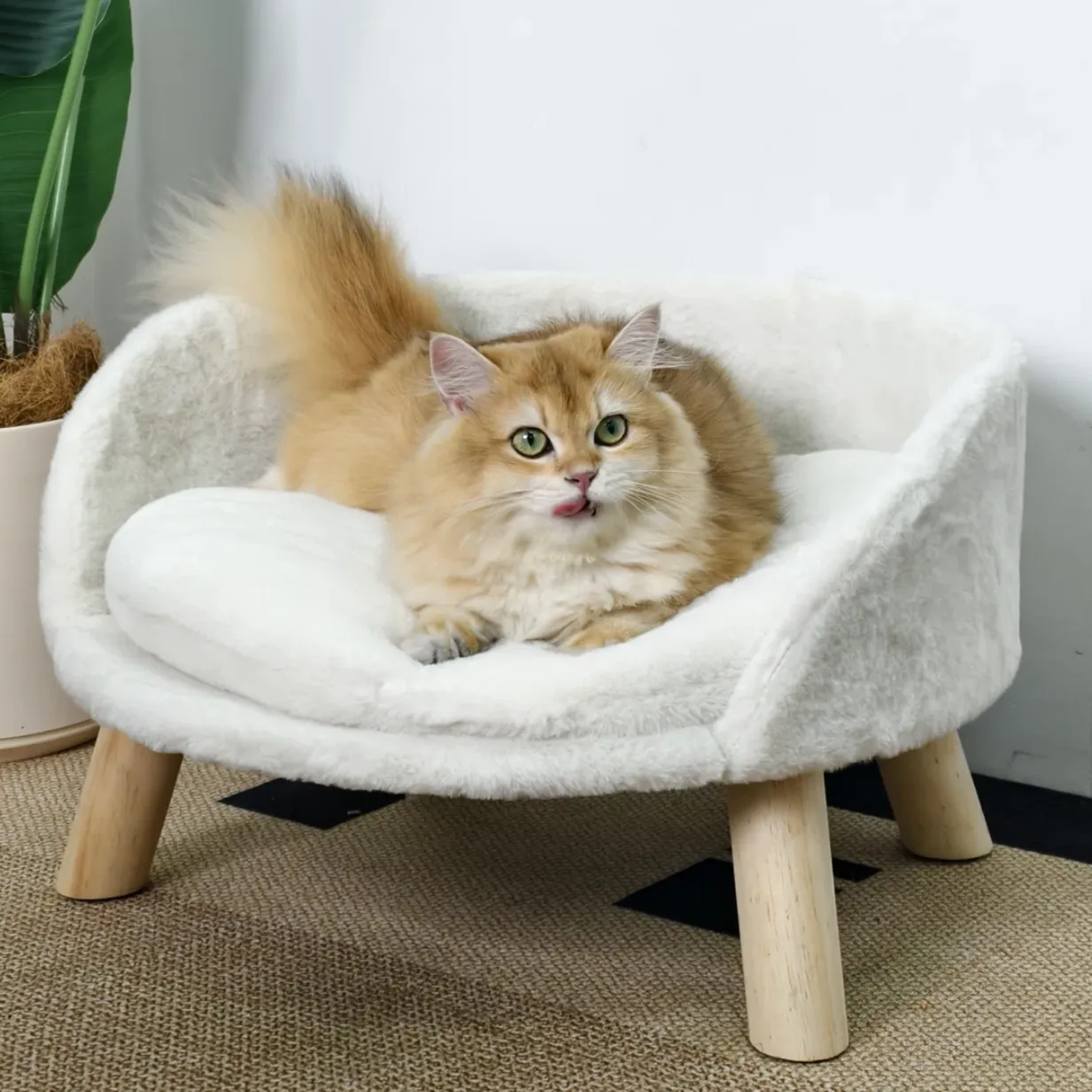 A fluffy ginger cat sits on a small, stylish pet chair with wooden legs and a white plush cushion. A potted plant is visible beside the chair on a textured rug.