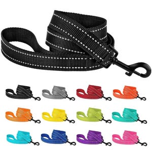 A collection of colorful dog leashes with reflective stitching, featuring various colors like black, gray, red, orange, yellow, green, teal, blue, purple, and pink. Each leash includes a black metal clip.