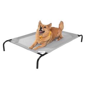A dog lies on a raised cooling dog bed with a gray, breathable mesh fabric supported by a black metal frame.