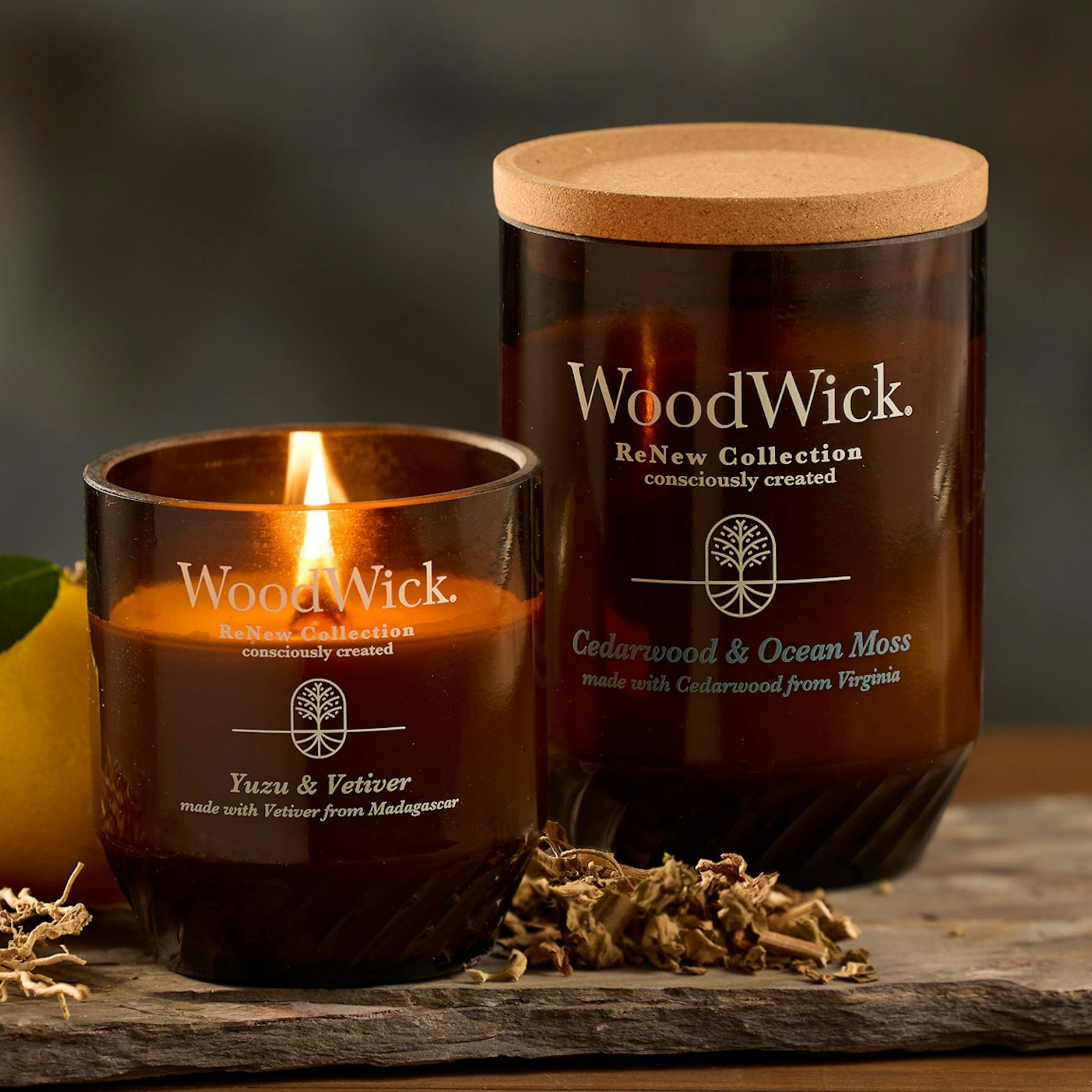 WoodWick ReNew Collection candles, featuring \“Yuzu & Vetiver\“ and \“Cedarwood & Ocean Moss\“ scents, are shown. One candle is lit, and both have amber glass containers and natural cork lids.