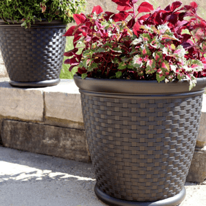 Two woven-texture planters, one with vibrant red and green foliage, are displayed on a stone ledge in a sunlit outdoor setting.