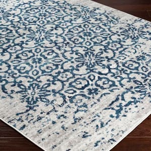 A 5' x 7' rug with a floral pattern featuring blue designs on a light background. The rug is stain-resistant and has a distressed look, suitable for enhancing the visual appeal of a room.