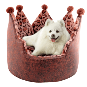 A fluffy white dog is sitting comfortably in a plush, crown-shaped pet bed with brown and leopard print details, topped with pom-poms.