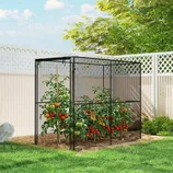 A garden enclosure with netting surrounds tomato plants, protecting them from pests. The plants are supported by stakes, and the area is bordered by a white lattice fence.