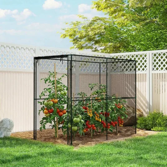 A garden enclosure with netting surrounds tomato plants, protecting them from pests. The plants are supported by stakes, and the area is bordered by a white lattice fence.