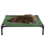 A dog is lying on a green elevated pet bed, chewing on a bone. The bed is supported by black legs and has a mesh area in the center.