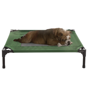 A dog is lying on a green elevated pet bed, chewing on a bone. The bed is supported by black legs and has a mesh area in the center.
