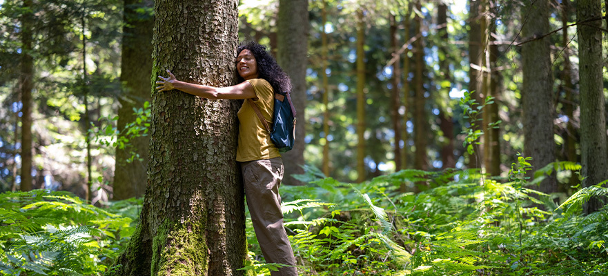 How to Grow Your Own National Park