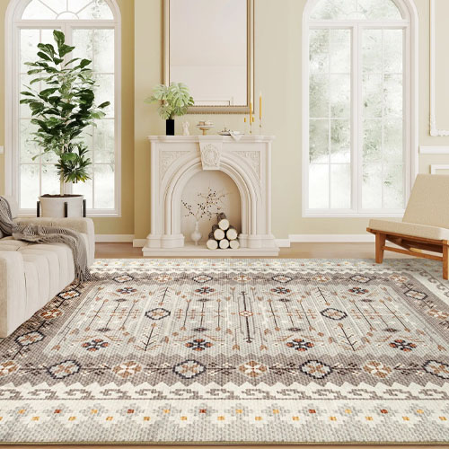 A living room features a large geometric-patterned area rug on the floor, centered between a beige sofa and a fireplace with a decorative mantle. The space also includes large windows, a potted plant, and a minimalist chair.
