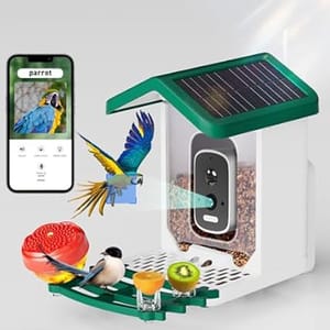 A smart bird feeder with a solar panel, featuring a built-in camera and app connectivity for identifying bird species. It includes sections for seeds, fruit, and water.