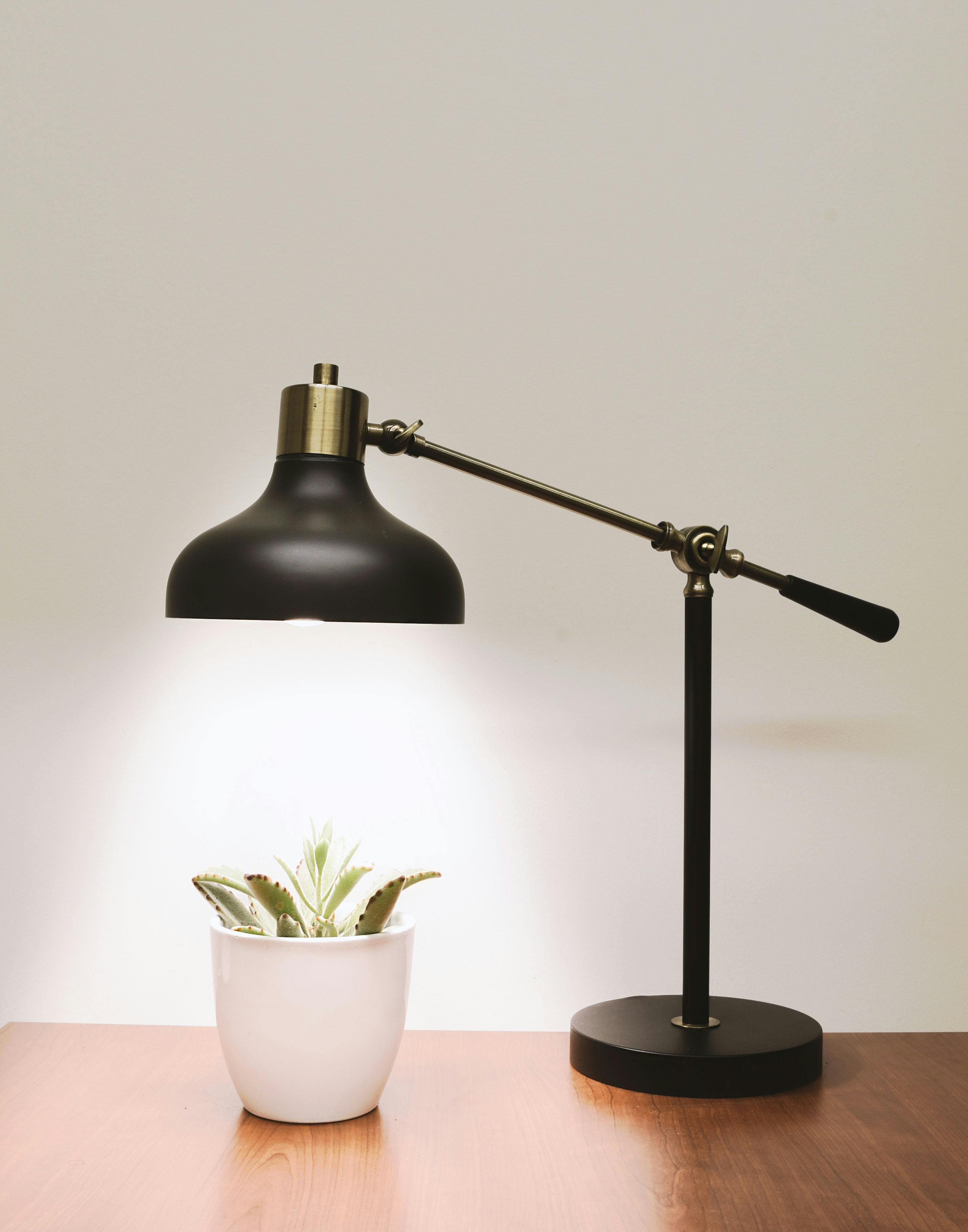 A black desk lamp with an adjustable arm beside a white pot with a green succulent plant.