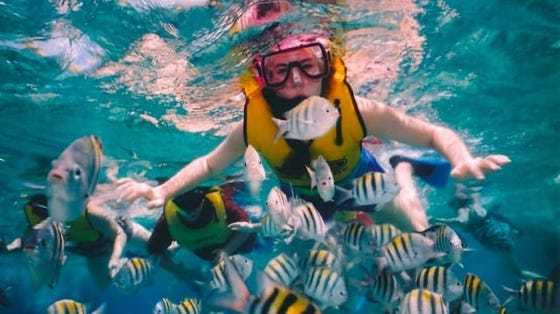 I Used Points to Save $5,000 on a Trip to the Mexican Riviera (and You Can Too!)