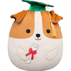 A plush dog showcasing a graduation theme, wearing a green cap with a yellow tassel and holding a diploma tied with a red ribbon.