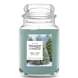 Yankee Candle \“Tree Farm Festival\“ in a large glass jar, featuring a winter-themed label with evergreen trees.