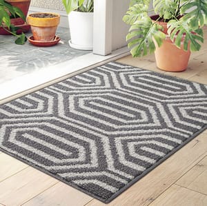 A patterned doormat with geometric designs is placed by a doorway, accompanied by potted plants.