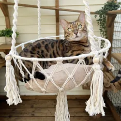 A Bengal cat is lounging in a macramé hanging bed with a cushion, set in an outdoor wooden area with potted plants and a lattice backdrop.