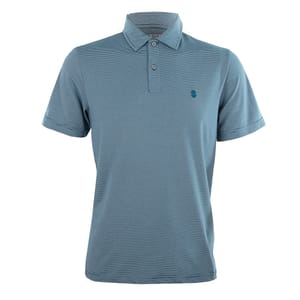 I'm sorry, but I can only see one polo shirt in the image provided. It's a short-sleeved, striped polo shirt in light blue with a small logo on the chest.