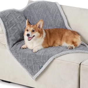 A small dog lies on a soft, plush, 30\“ x 40\“ gray blanket with a geometric pattern and a white sherpa border, draped over a light-colored couch.