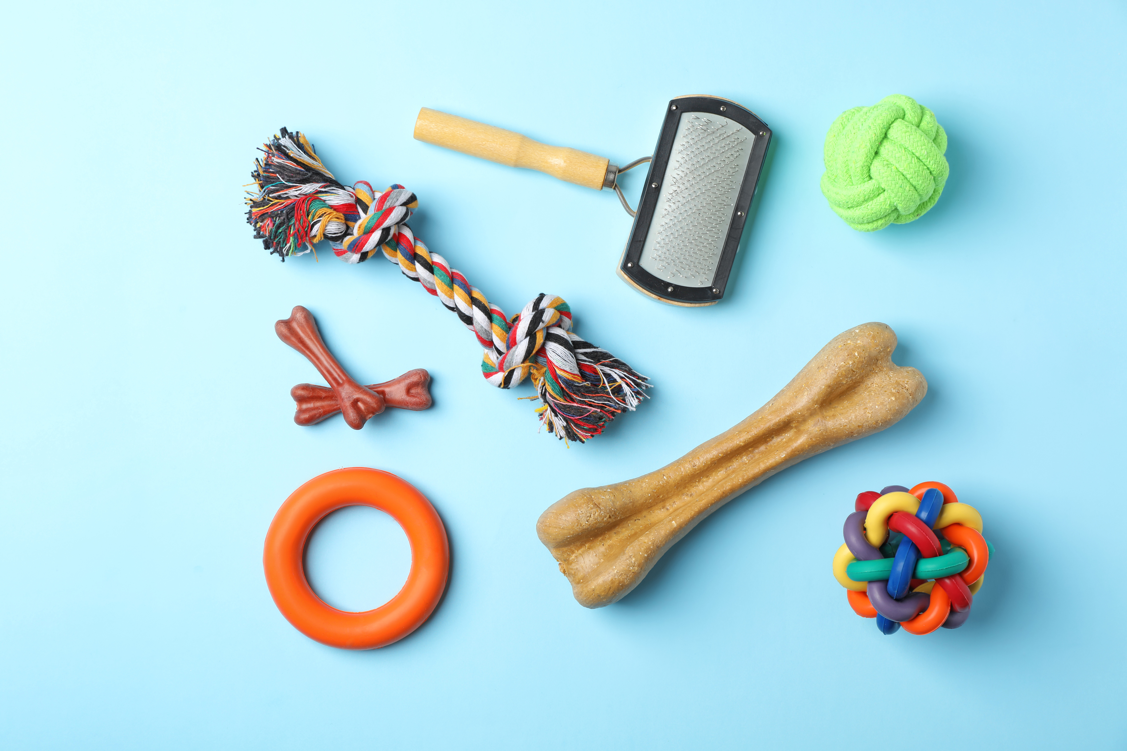 Assorted dog toys and a grooming brush on a blue background.