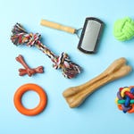 Assorted dog toys and a grooming brush on a blue background.
