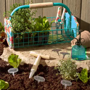 Gardening tools, plant markers labeled \“chard,\“ \“lettuce,\“ and \“thyme,\“ and a vibrant teal garden basket filled with plants are arranged on soil.