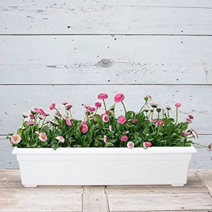 White rectangular Arlmont & Co planter box filled with pink and white flowers, set against a rustic wooden background.