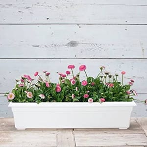 White rectangular Arlmont & Co planter box filled with pink and white flowers, set against a rustic wooden background.