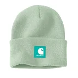 A light green Carhartt beanie featuring a teal logo patch with the Carhartt emblem and name on the front cuff.