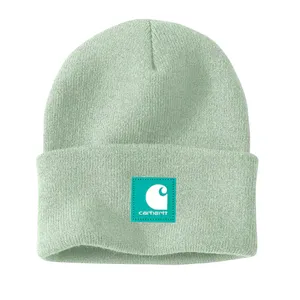 A light green Carhartt beanie featuring a teal logo patch with the Carhartt emblem and name on the front cuff.