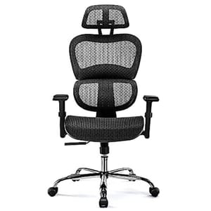 Mesh ergonomic office chair with adjustable headrest, armrests, and lumbar support on a chrome base with wheels.