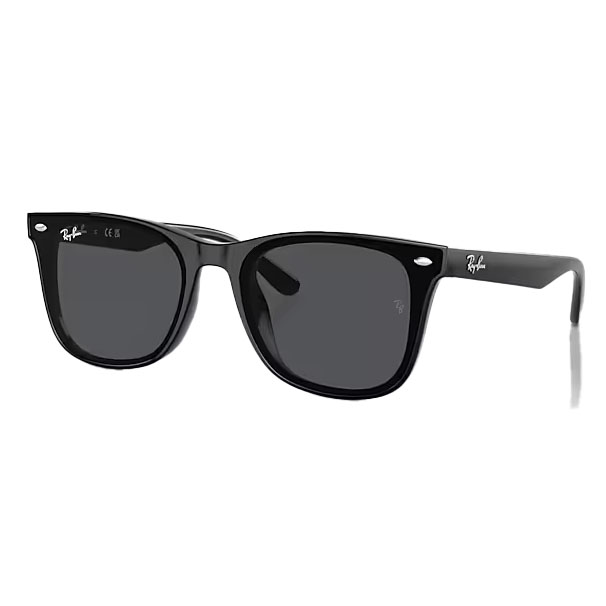 The Ray-Ban RB4420 sunglasses feature a classic black square frame with dark lenses, metallic accents at the corners, and the Ray-Ban logo on the temples and lenses.