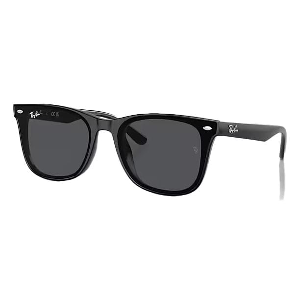 The Ray-Ban RB4420 sunglasses feature a classic black square frame with dark lenses, metallic accents at the corners, and the Ray-Ban logo on the temples and lenses.