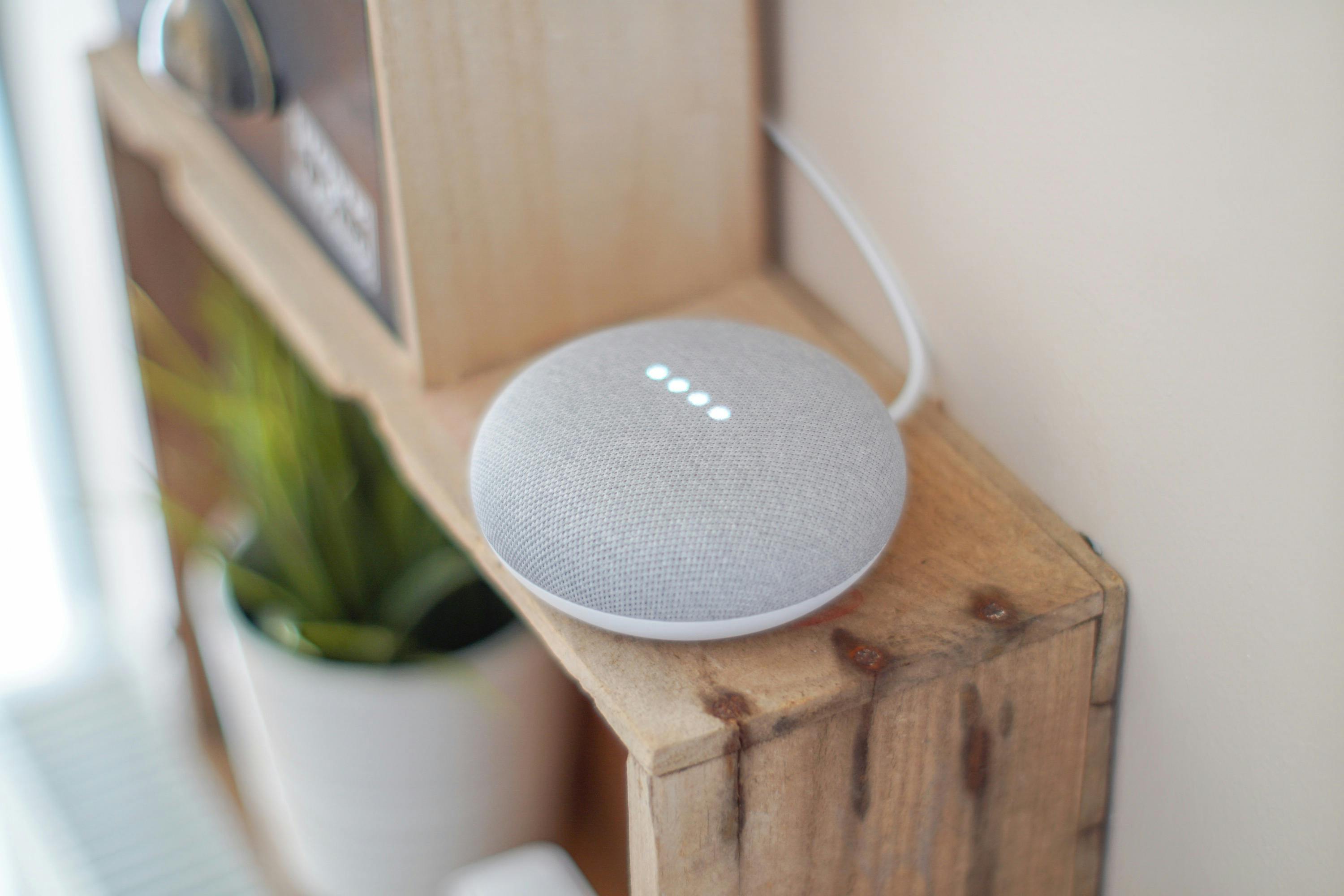 A smart speaker with a grey fabric cover sits on a wooden shelf beside a green potted plant.